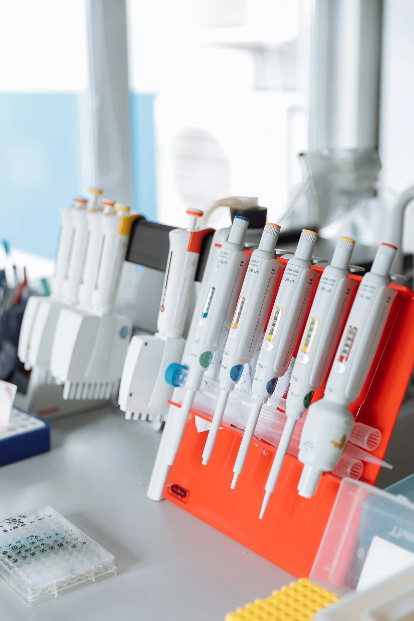 Precision pipettes arranged on a laboratory equipment stand